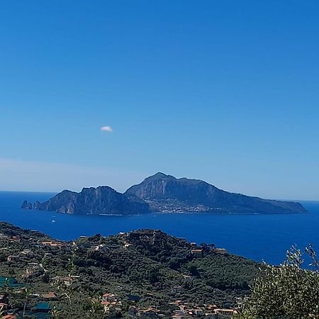 Al Calar Del Sole Villa Massa Lubrense Buitenkant foto